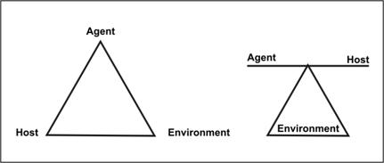 <p>A traditional model for causation of infectious disease. It consists of an agent, a susceptible host, and an environment that brings the host and the agent together</p>