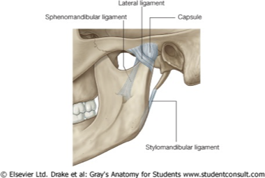 <ol><li><p><mark data-color="yellow" style="background-color: yellow; color: inherit">Lateral temporomandiular ligament </mark></p></li><li><p><mark data-color="yellow" style="background-color: yellow; color: inherit">Sphenomandibular ligament</mark></p></li><li><p><mark data-color="yellow" style="background-color: yellow; color: inherit">Stylomandibular ligament </mark></p></li></ol><p></p>