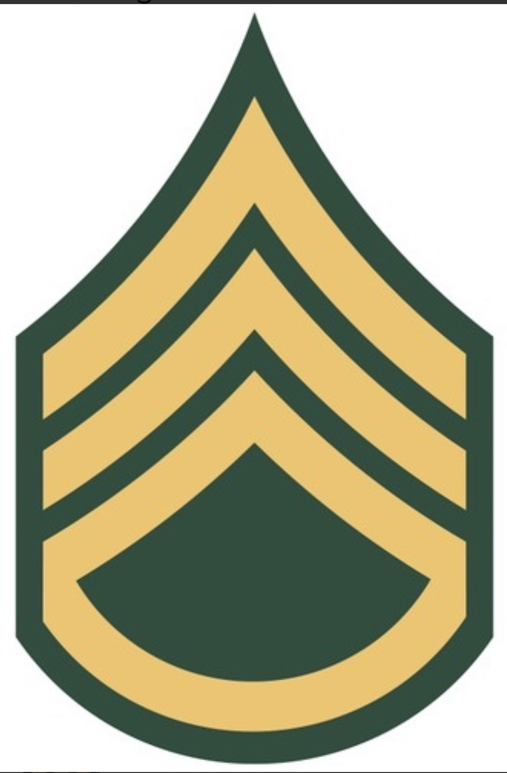 <p>SSG; E-6</p>
