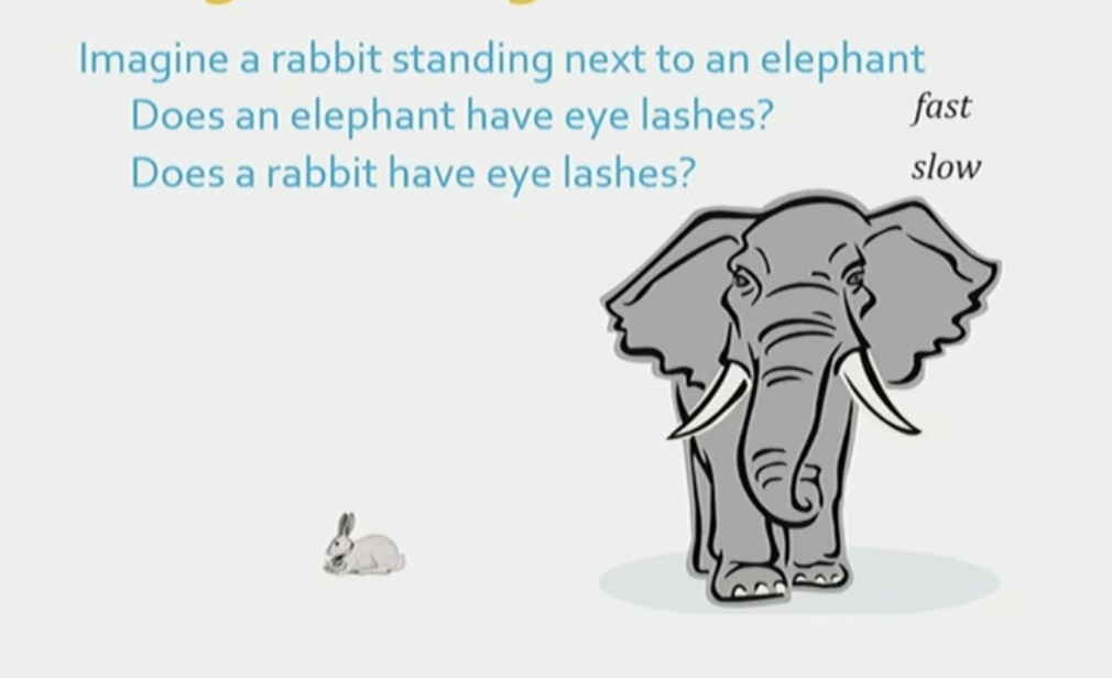 <p><strong>Functional equivalence hypothesis.</strong></p><p></p><p>This is because Kosslyn found that participants responded faster to questions about visual details about elephants, compared to rabbits. </p>