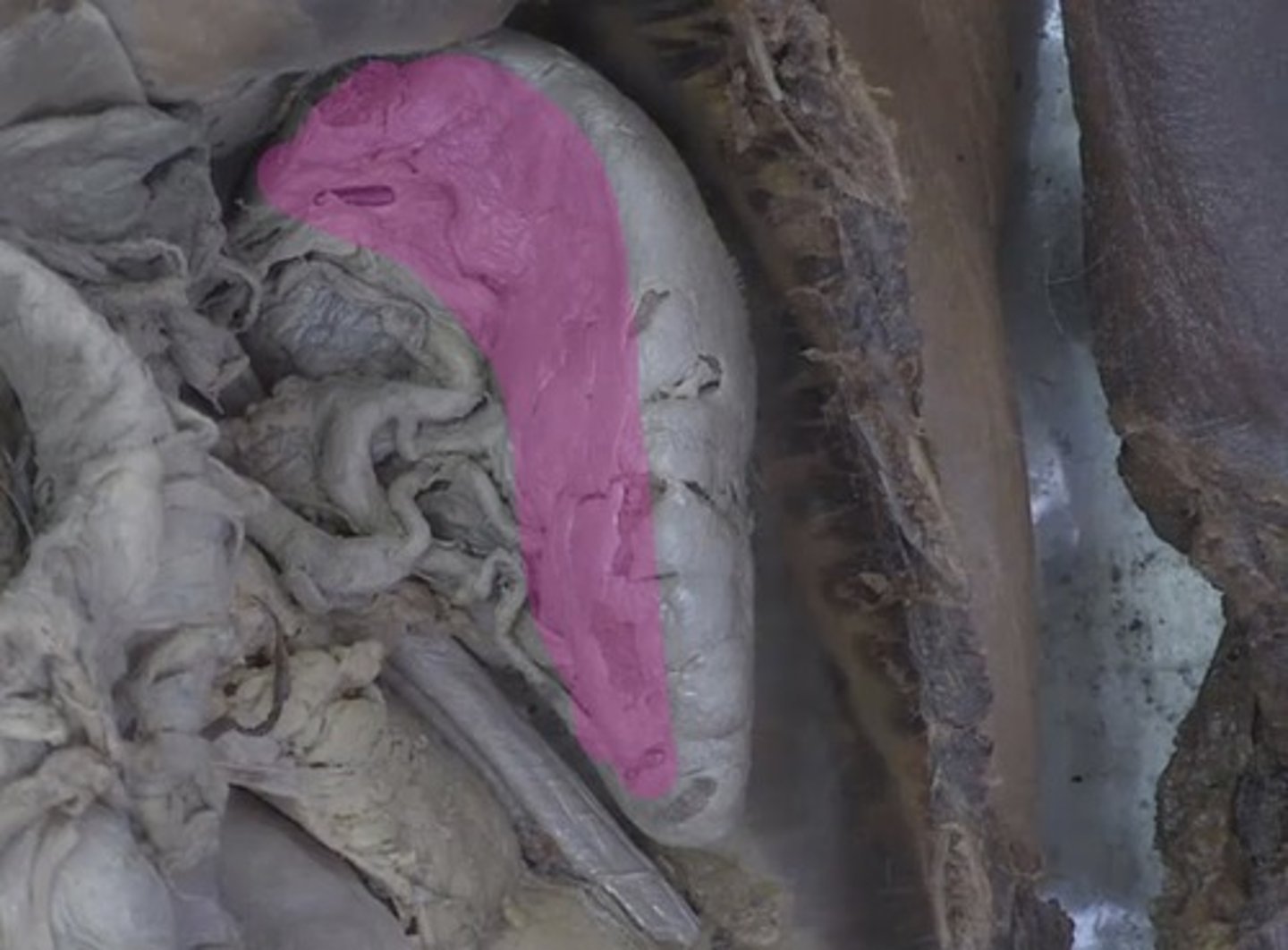 <p>What is this?</p>