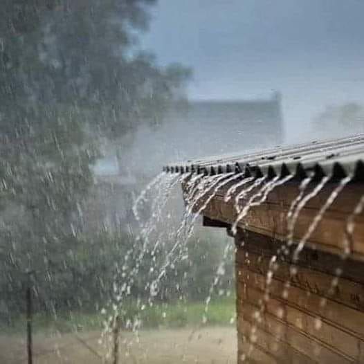 <p><strong>Torrential</strong></p>