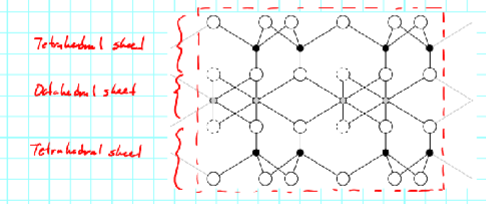 <p>forming the phyllosilicates</p>