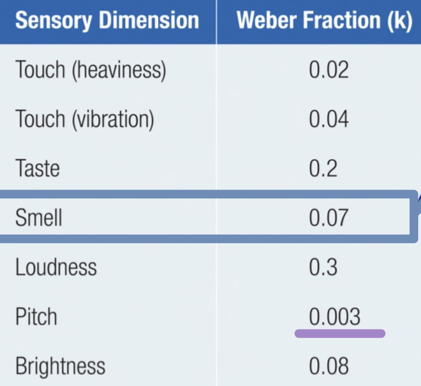 <ul><li><p>e.g., for smell → means need to add 7% of stimulus order to detect diff in intensity </p></li><li><p>pitch is the most sensitive (need to change v lil)</p></li></ul>