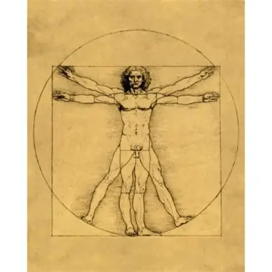 <ul><li><p>The pursuit of human or earthly interests; Literary learning or culture; devotion to or expertise in the humanities, esp. classical scholarship. (Oxford English Dictionary).</p></li><li><p>Western humanism emerges from the rinascita or renaissance of Ancient Greek and Roman ideas and forms.</p></li><li><p>Humanism is often associated with secularism, taking a nontheistic view centered on human agency and reliance on science and reason.</p></li><li><p>From humanismus, “humanism” was coined in the nineteenth century by Bavarian theologian Friedrich Niethammer when discussing the value of philosophical breadth in education, now used to describe a philosophical stance taking the human being (individually and socially) as the center of ethics. (Ada Palmer, Inventing the Renaissance, 2025).</p></li><li><p>Umanista is the Italian word for humanist. The term derives from the Latin "humanitas," which Cicero used to describe the liberal education values. An umanista is a professional teacher of the studia humanitatis, a variation on the classical trivium (grammar, logic, rhetoric). (Ada Palmer, Inventing the Renaissance, 2025).</p></li><li><p>Western humanism continues to embody the hierarchical order of The Great Chain of Being [GCB] even while moving away from it. The GCB orders all existence in a divine, unbroken chain from God at the pinnacle, down through angels, humans, animals, plants, and minerals to inanimate matter.</p></li></ul><p></p>