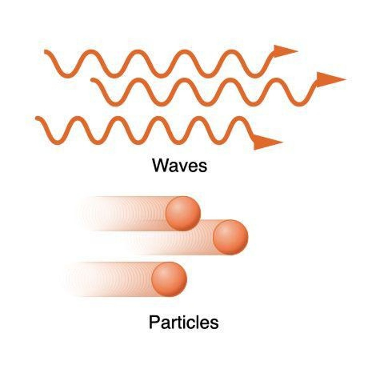 <p>Light behaves both as a wave and as a particle (photon).</p>