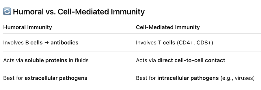 <p>Soluble proteins that have a function in immunity:</p><ul><li><p>Acute proteins</p></li><li><p>Complement proteins → <strong>COMPLEMENT PATHWAY/ ALTERNATIVE PATHWAY</strong> is the humoral component of <strong>Innate Immunity</strong></p></li><li><p>Antibodies → <strong>ANTIBODIES</strong> is the humoral component of the <strong>Adaptive Immunity</strong></p></li></ul><p></p><p></p><p></p>