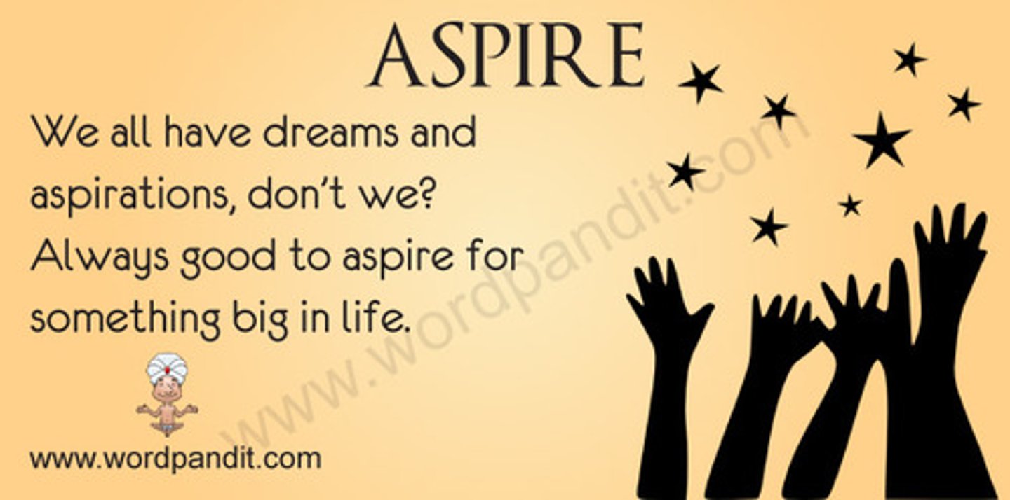 <p>have an ambitious plan or a lofty goal</p>