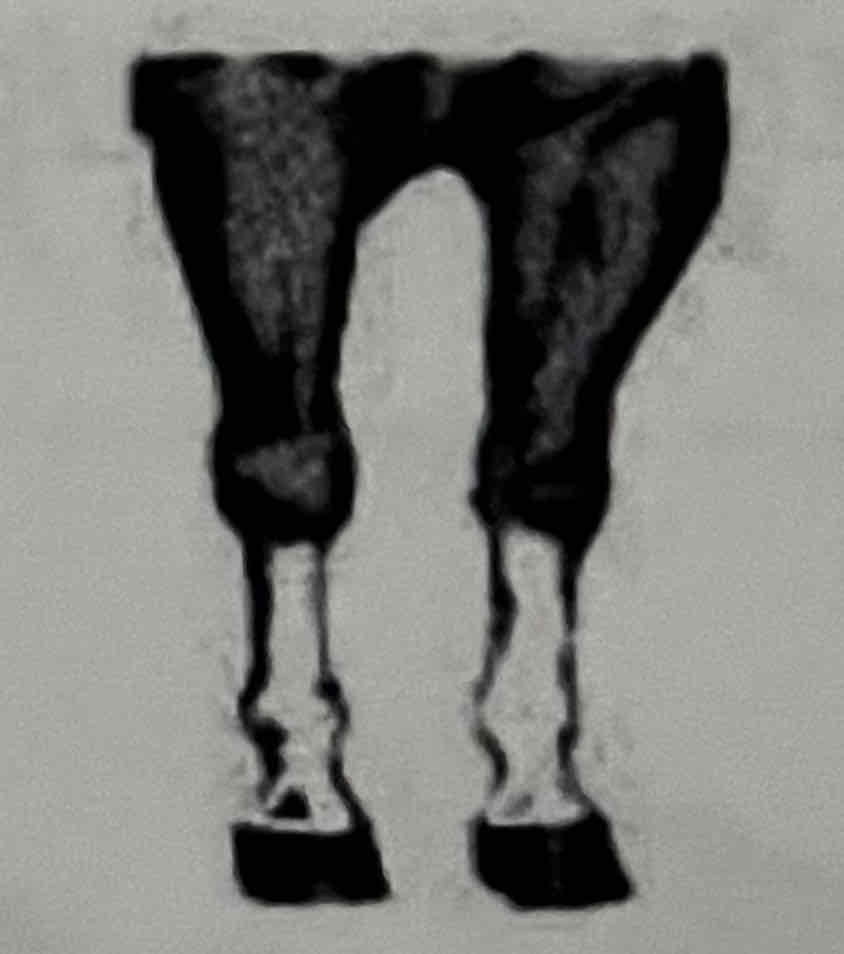 term image