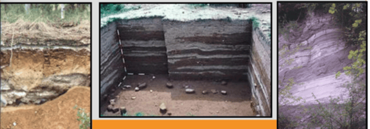 <p>One of the two main divisions in soil science. It is the study of natural soil systems to describe soil formation, classification and properties.</p>