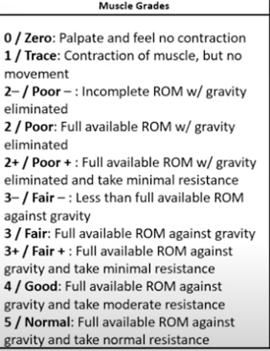<p>Important to compare bilaterally!</p><p>•Is there break away weakness?</p><p>•Is there gross weakness?</p><p>What is normal for this patient?</p><p>•Consider age and ability and contributing pathology</p><p>Procedure</p><p>•Position against gravity</p><p>•Ask PT to perform AROM</p><p>•Then position at midrange and hold position</p>