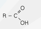 <p>-oic acid</p>