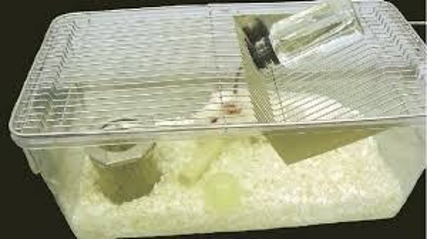 <p>Small cage typically used for rodents and may incorporate a feeding station</p>