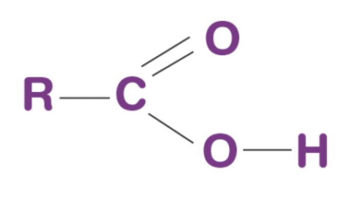 <p>functional group consisting of a carbonyl (C=O) group with a hydroxyl group (OH) attached to the carbon (-COOH)</p>