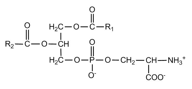 <p>net charge -1</p>
