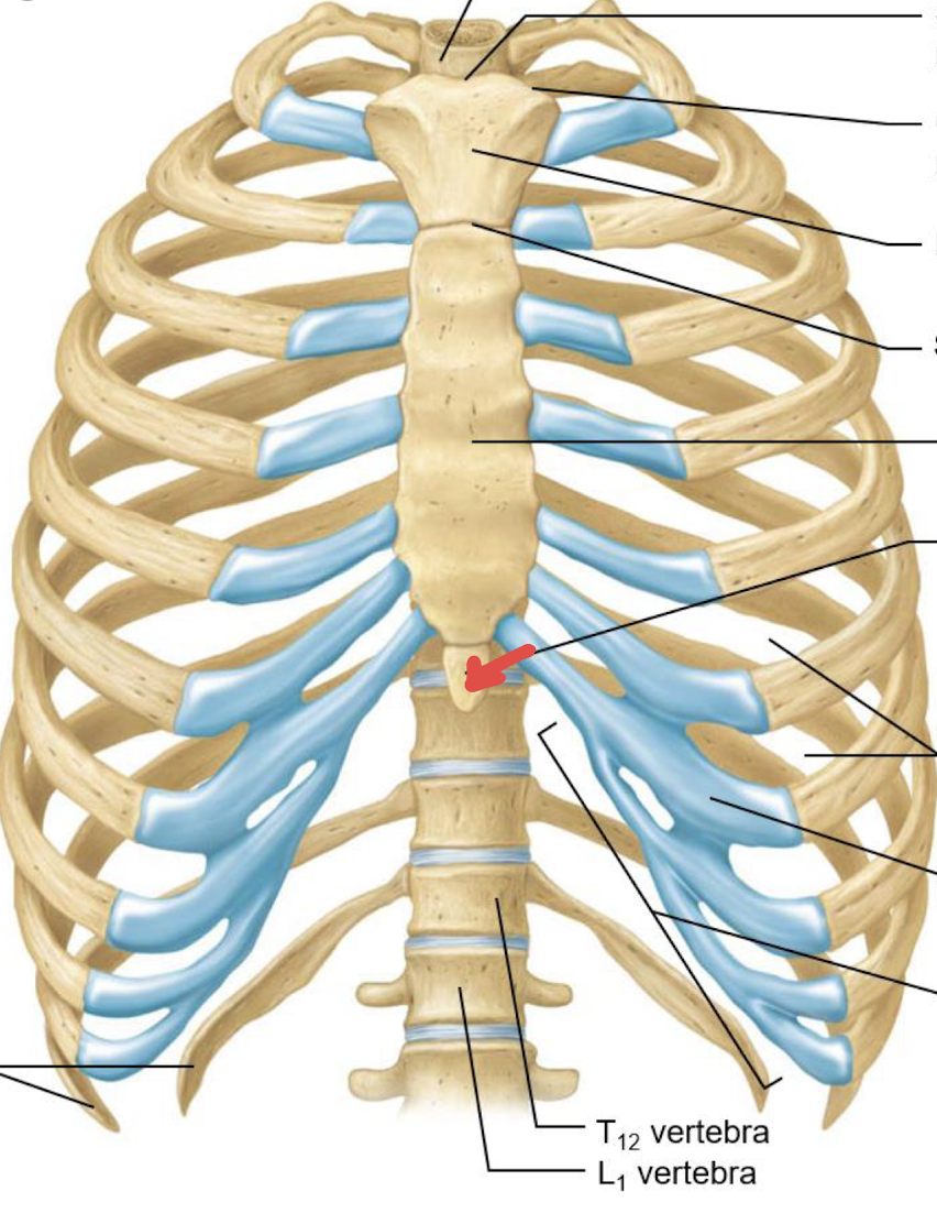 <p>what is this?</p>