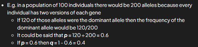 <ul><li><p>frequencies represented as proportions of pop (no. out of 1)</p></li><li><p>freq of alleles can be rep; this is prop of all of alleles in pop that are of particular form</p><ul><li><p>p = dominant </p></li><li><p>q = recessive</p></li><li><p>only 2 alleles at single gene locus for a phenotypic trait in pop</p></li></ul></li><li><p>p+q = 1</p></li></ul><p></p>