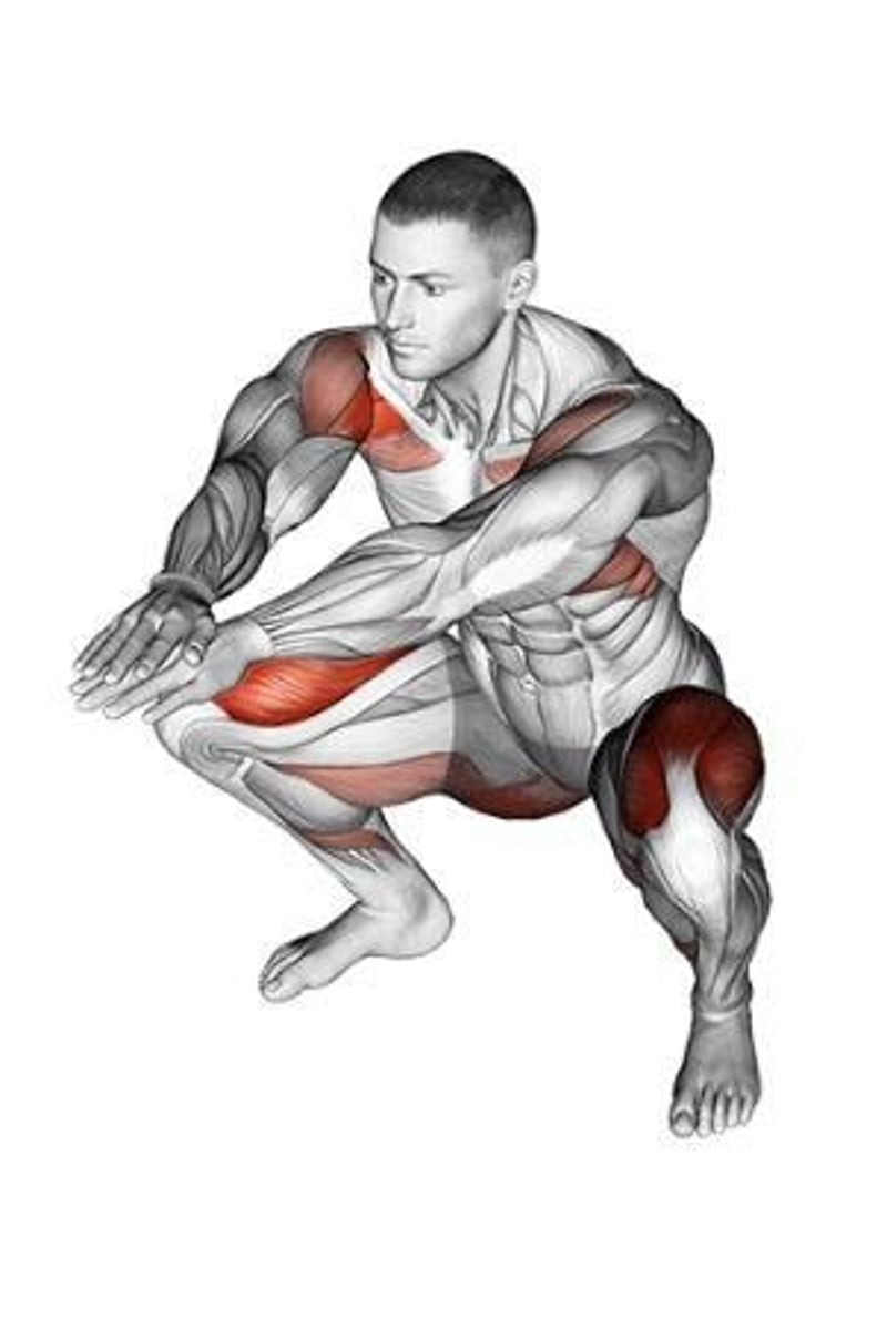<p>A test of muscular strength where the subject performs squats until they can no longer continue.</p>