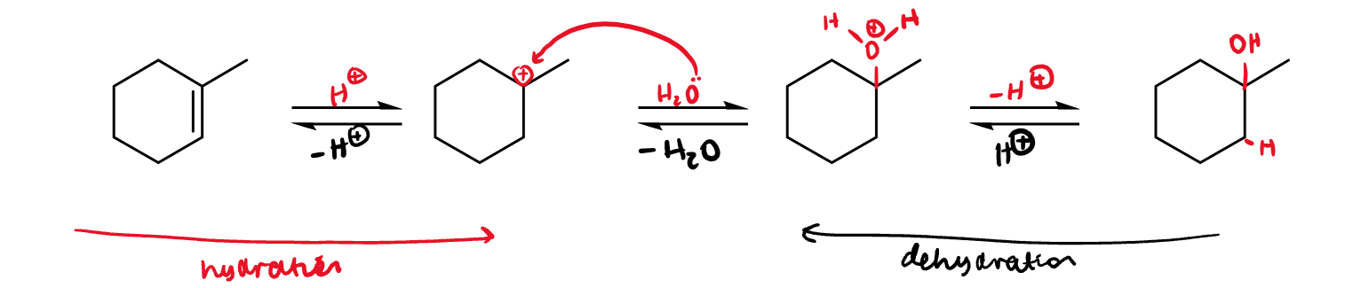 <ul><li><p>addition of water in H-OH format</p></li><li><p>dehydration of tertiary alcohol is favoured entropically</p><ul><li><p>primary/secondary (especially primary) require strong acid catalysts and heat to dehydrate, whereas tertiary dehydrate easily with mild acid catalysts</p></li><li><p>this is because tertiary carbocations are significantly more stable (in addition to entropic favourability)</p></li><li><p>tertiary alcohols also have no competing reactions, where other classes have E2 and oxidation to carbonyls</p></li></ul></li><li><p>it can be difficult to hydrate an alkene directly</p></li></ul><p></p>