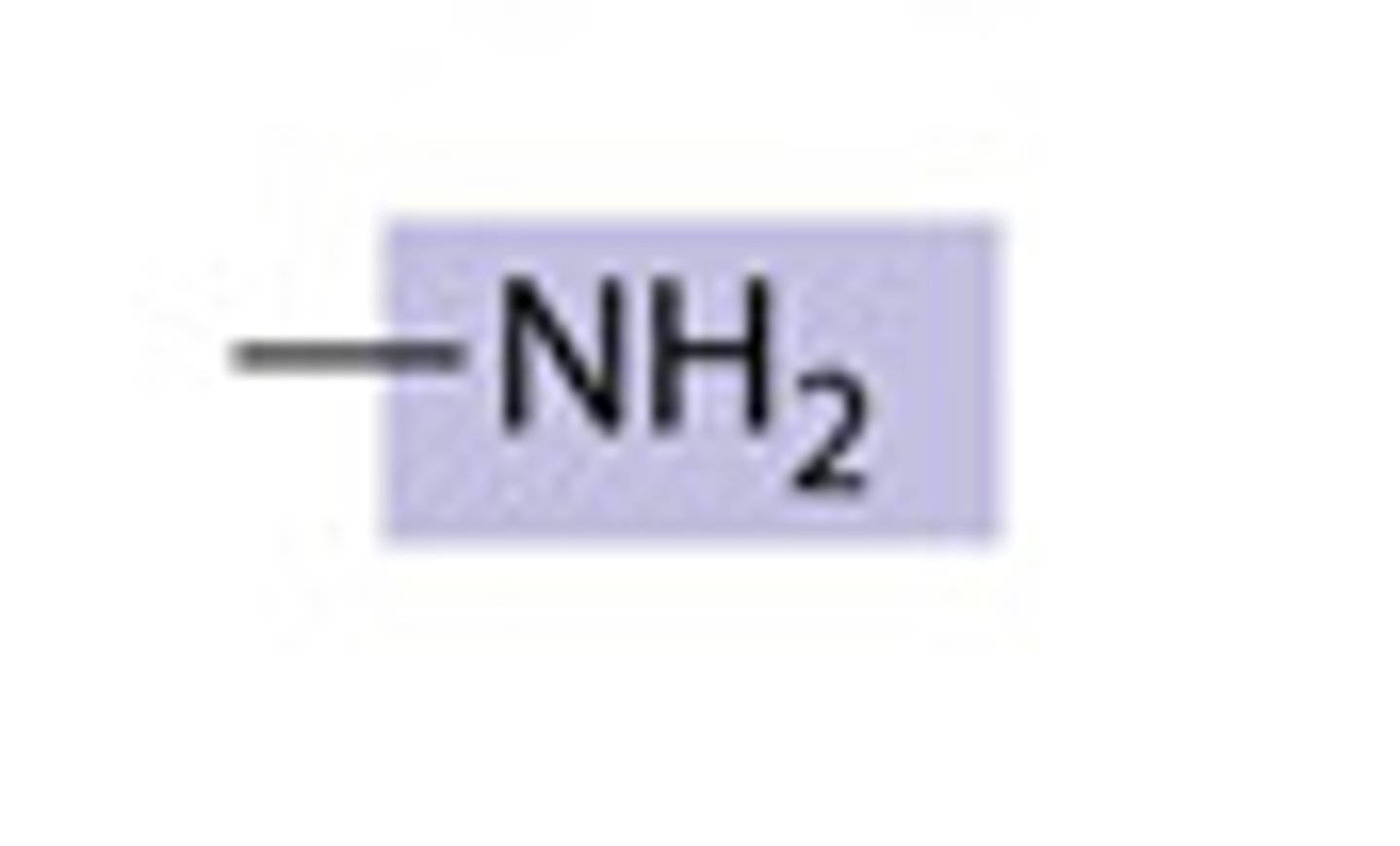 <p>composed of a nitrogen bonded to two hydrogen atoms and the carbon skeleton</p>