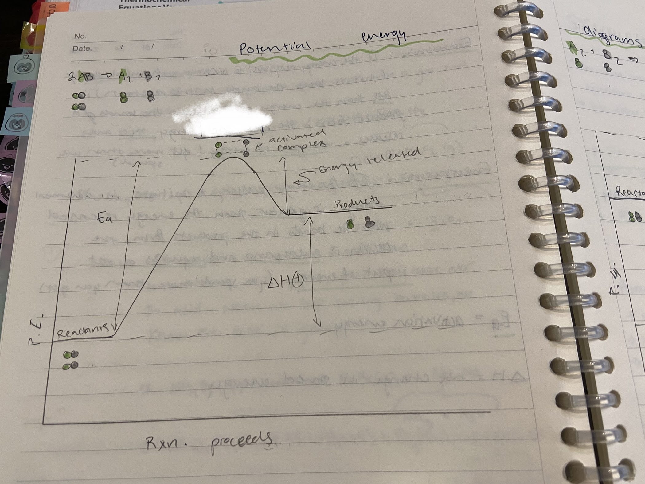 <p>Is this reaction endothermic or exothermic?</p>