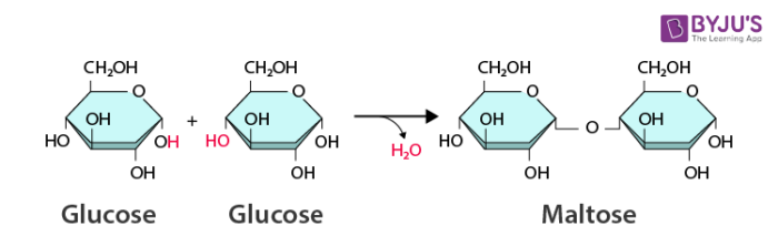 <p>Bonds two monomers with the loss of water</p><ul><li><p>-OH of one monomer bonds to the -H of another, forms H₂O, which is then released.</p></li><li><p>A + B → AB + H₂O</p></li></ul>