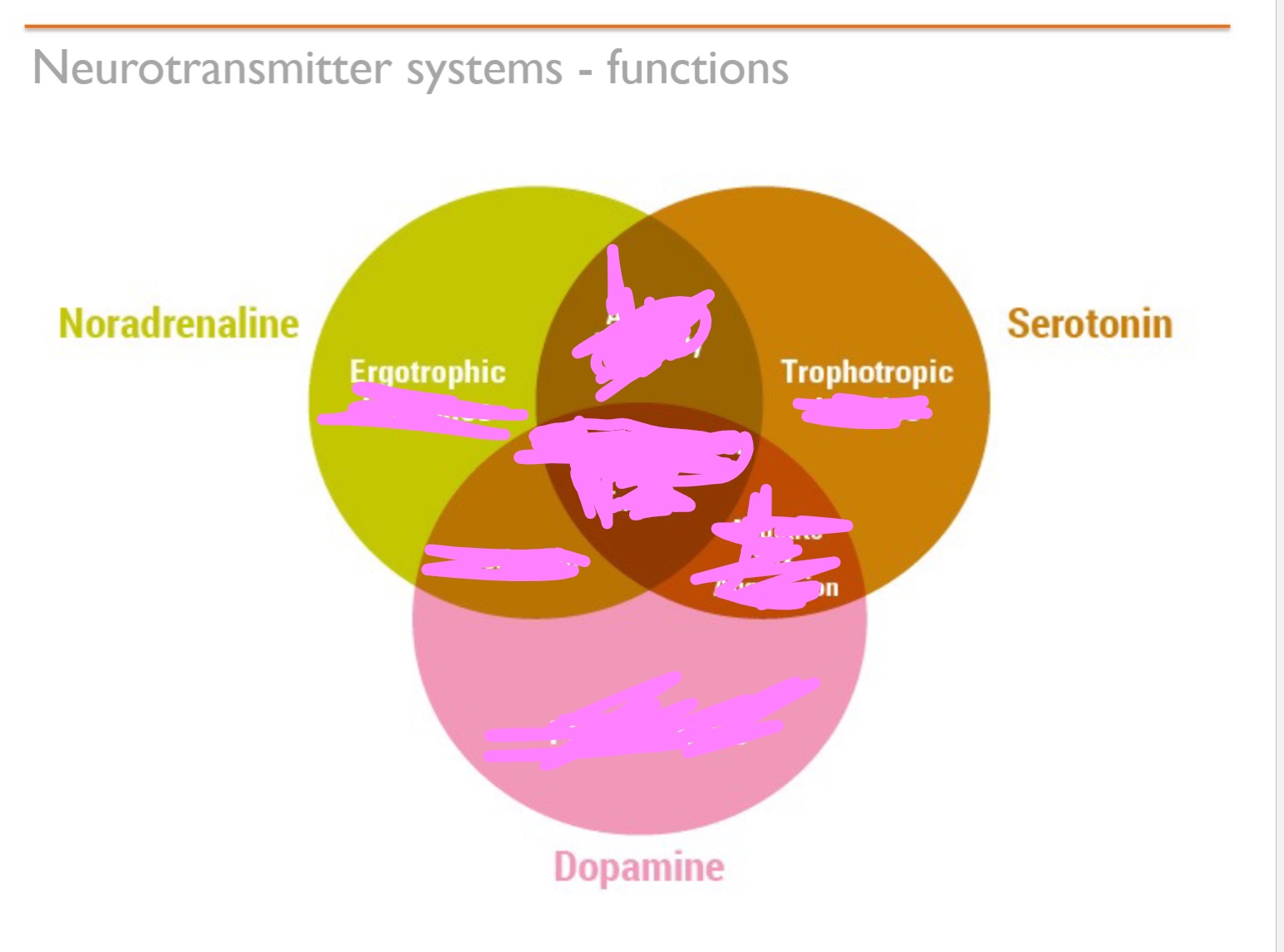 Fill in what goes where in the Venn diagram