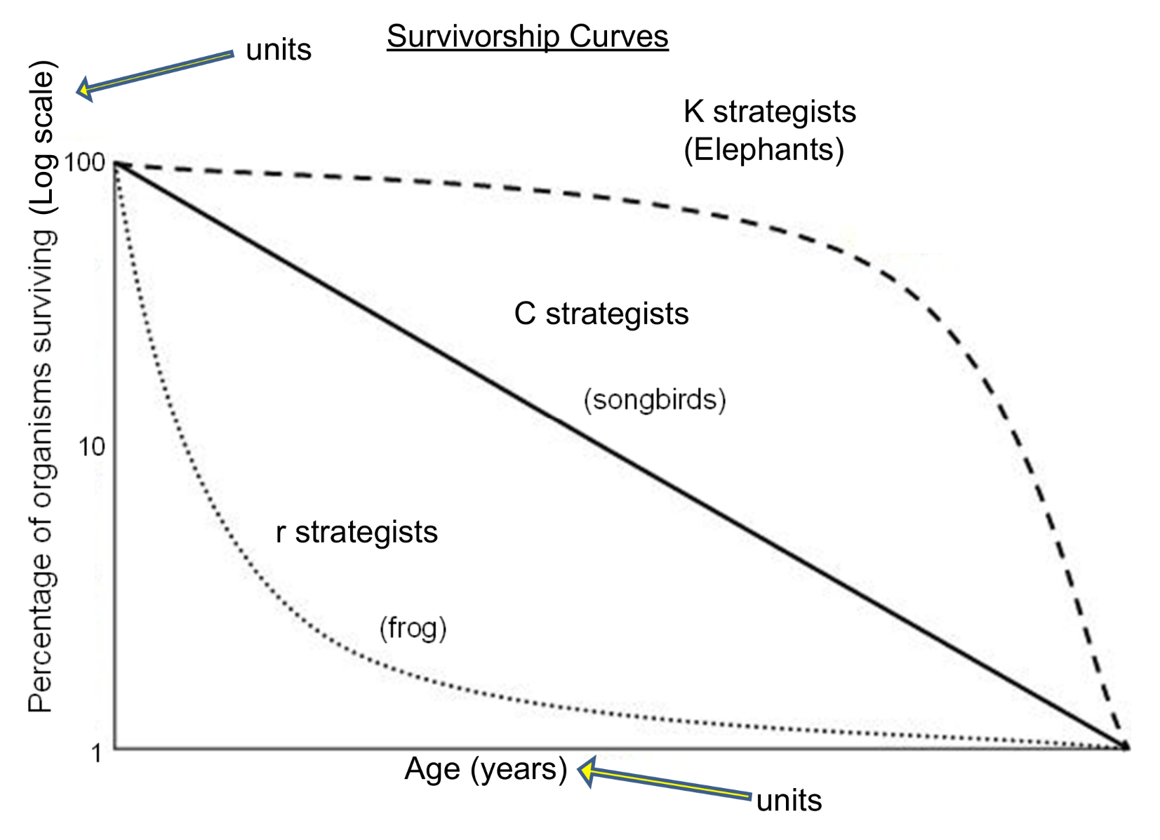 <ul><li><p>slow growing</p></li><li><p>usually large</p></li><li><p>have few large offspring</p></li><li><p>mature slowly</p></li></ul><p>→ hippopotamus, dolphin, elephant</p><p>favored by predictable environments - climax communities</p>