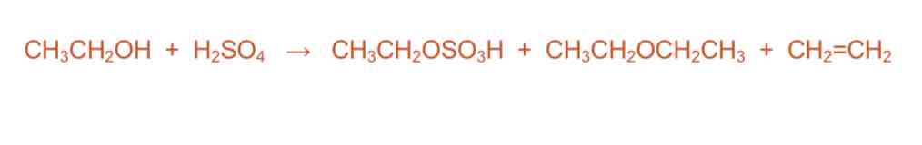 <ul><li><p>Ethers may be produced by losing 1 molecule of water between 2 molecules of an alcohol</p></li></ul>