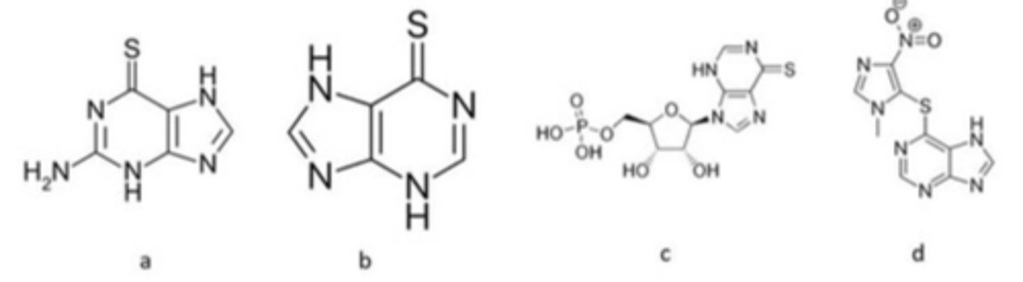<p>Which of these agents is ACTIVE as shown?</p>