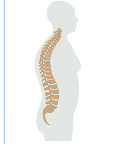<p>Answer choice that looks like this image.</p>