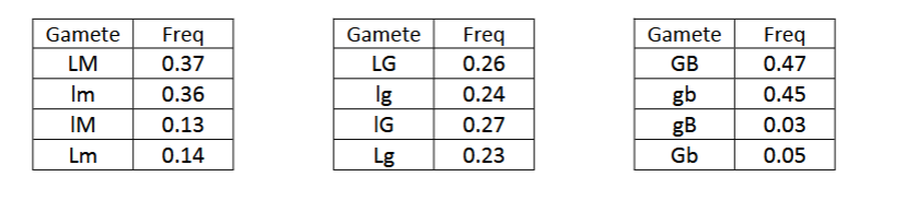 <p><span>You are studying four recessive mutations in Drosophila: little wing (l), maroon body pigment (m), giant antennae (g), and big eye (b). You cross homozygous parents to create several heterozygous F1s with genotype LlMm, LlGg and MmGg. Crosses between the F1 individuals and homozygous recessive individuals (ex: LlMm x llmm) indicate gamete production in the following frequencies</span></p><p><span>a. Which of the four genes you are studying are linked?</span><br><span>b. Of the genes that are linked, which are closest together on the chromosome?</span></p>