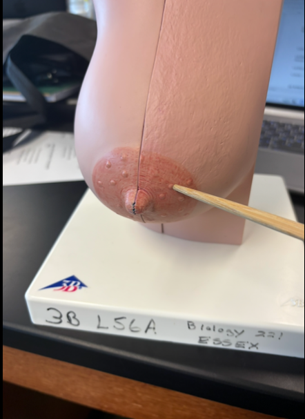 <p>What is this?</p>