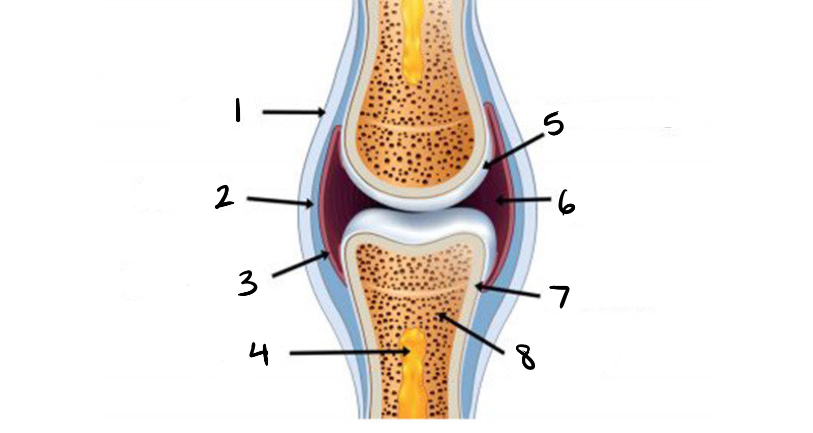 <p>5 </p>