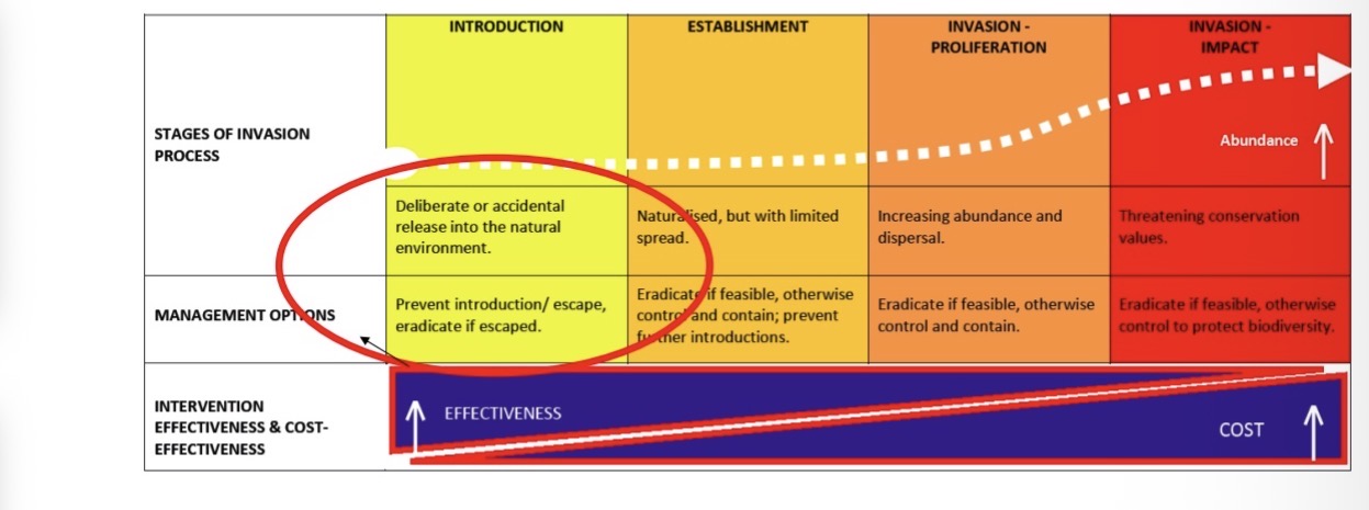 <p><span><span>maximizes the chances of success and minimizes the costs: due to low initial densities and localized populations, Allee effects, demographic stochasticity, environmental stochasticity, and other mechanisms, increase the chances of eradication (cf. Lecture 5).</span></span></p>