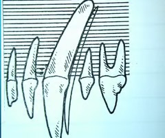 <p>What is this representing?</p>