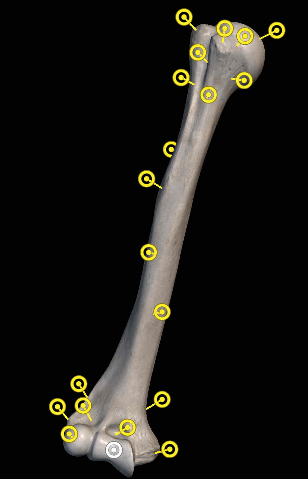 <p>Name the structure </p>