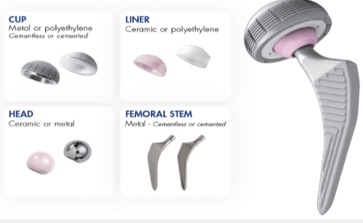 <p>- cup</p><p>- liner</p><p>- head</p><p>- femoral stem</p>