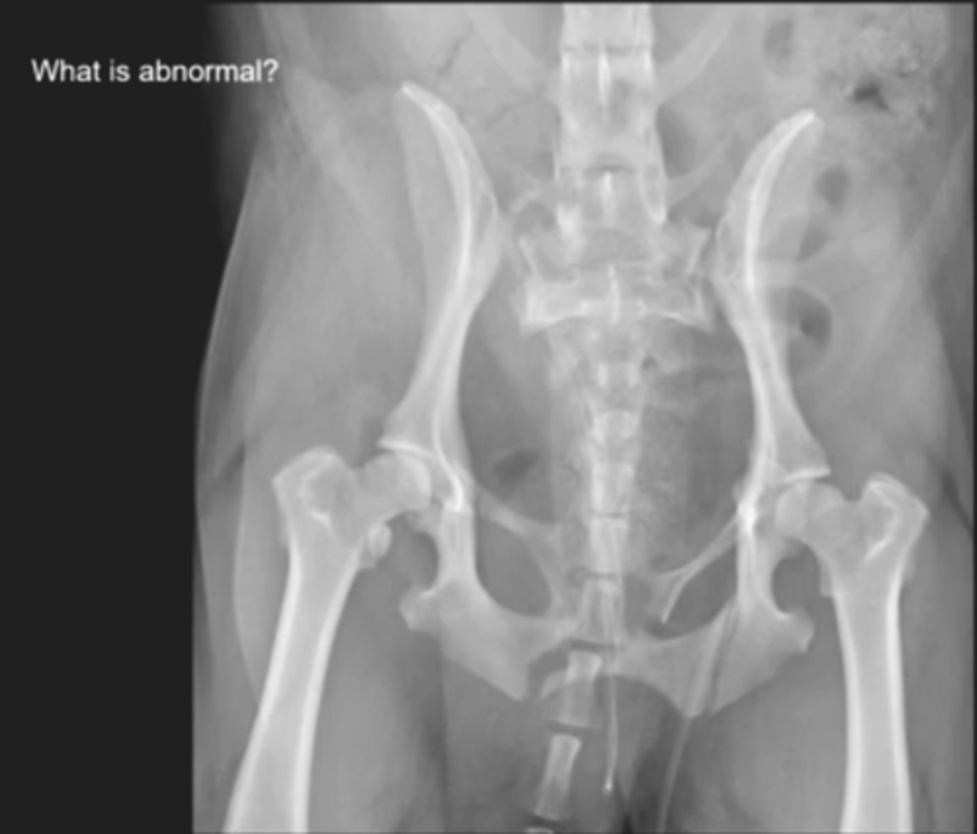<p>What is abnormal here?</p>