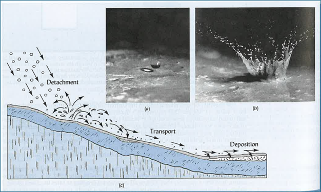 <p>What is shown in the photo?</p>
