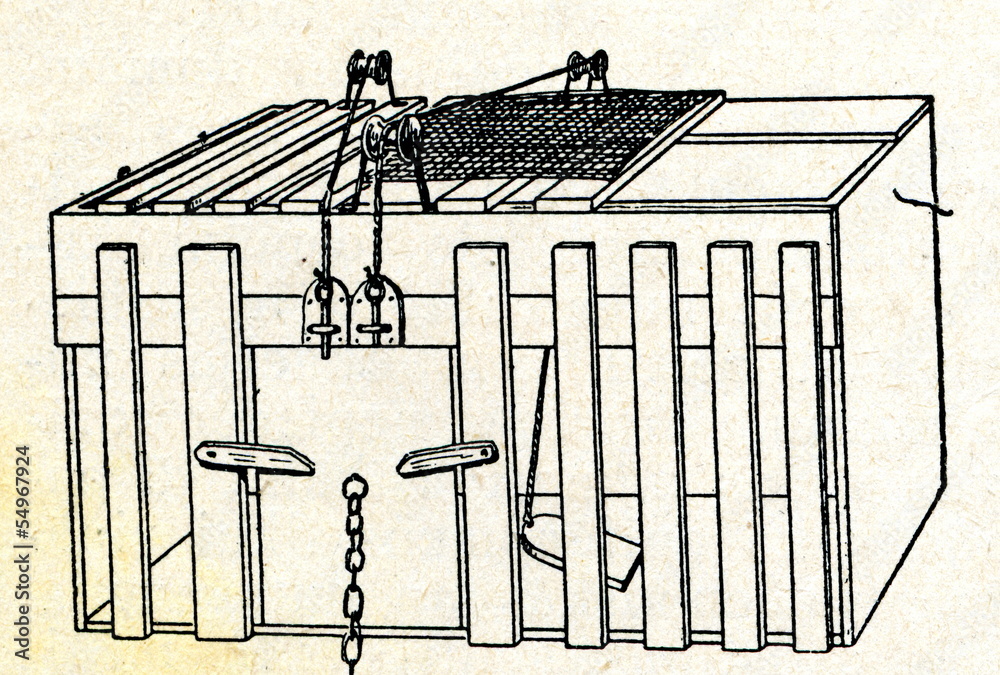 <p>Que fue lo que thorndike utilizo para <span style="font-family: "Times New Roman", serif;">estudiar el comportamiento animal</span></p>