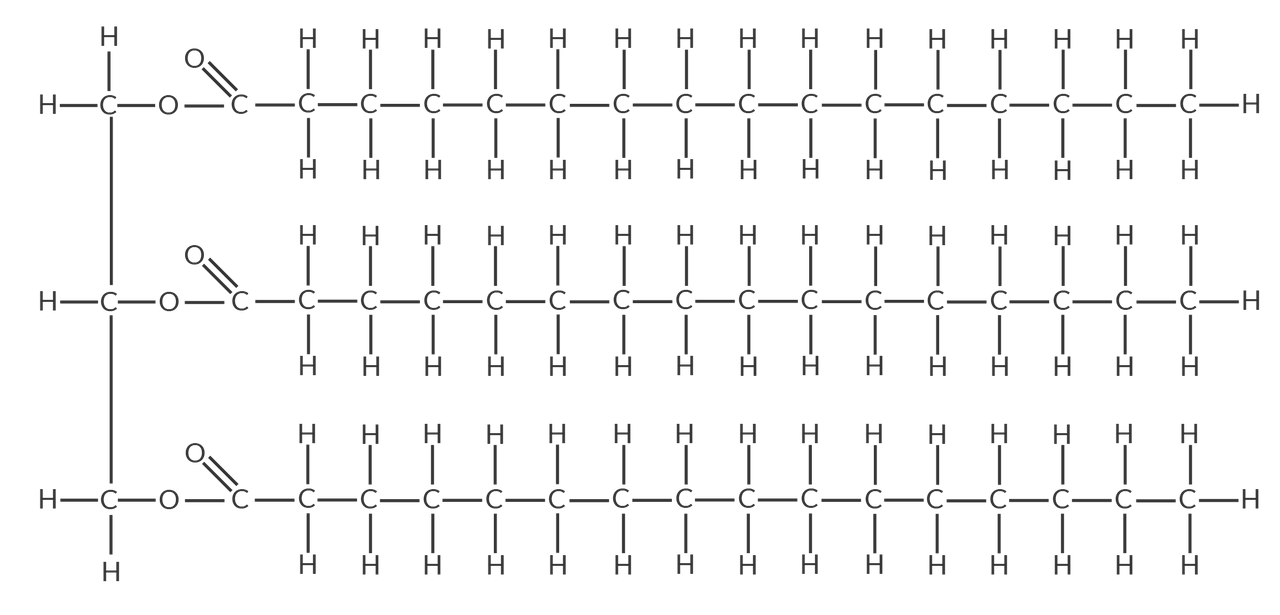 <p>fat molecules made up of one glycerol molecule and 3 fatty acids</p><p>→ the 3 fatty acids can be a mix of saturated, monounsaturated, and polyunsaturated types</p><p></p>