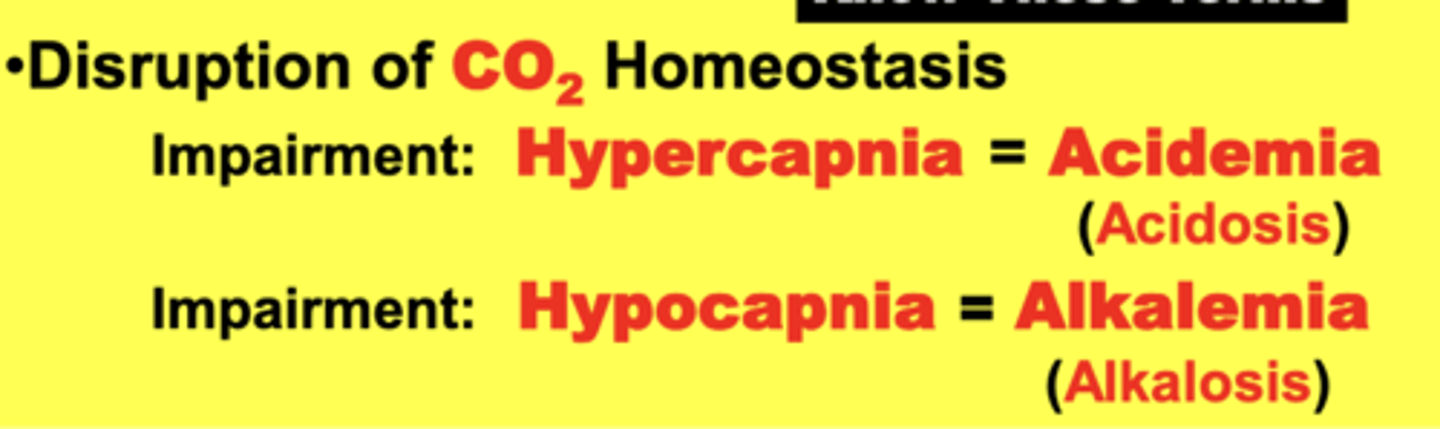 <p>hypocapnia</p>