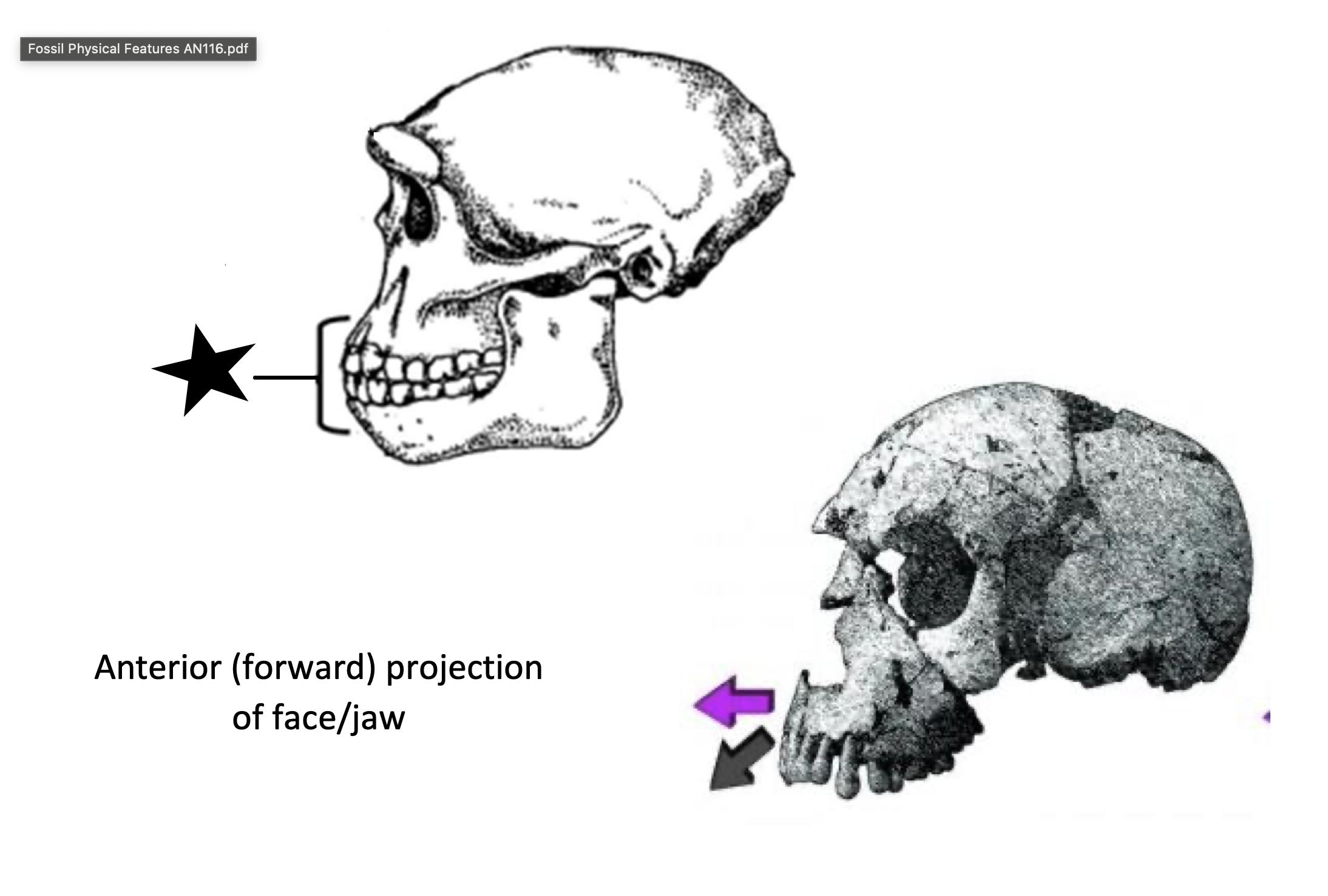 <p></p>