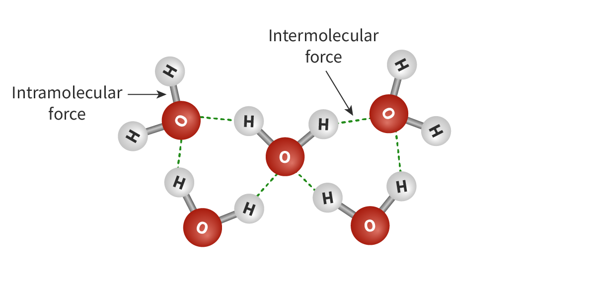 <p>Attractive (or repulsive) forces that exist between the molecules of a substance.</p>