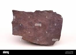 <p>Lutites are what?</p>