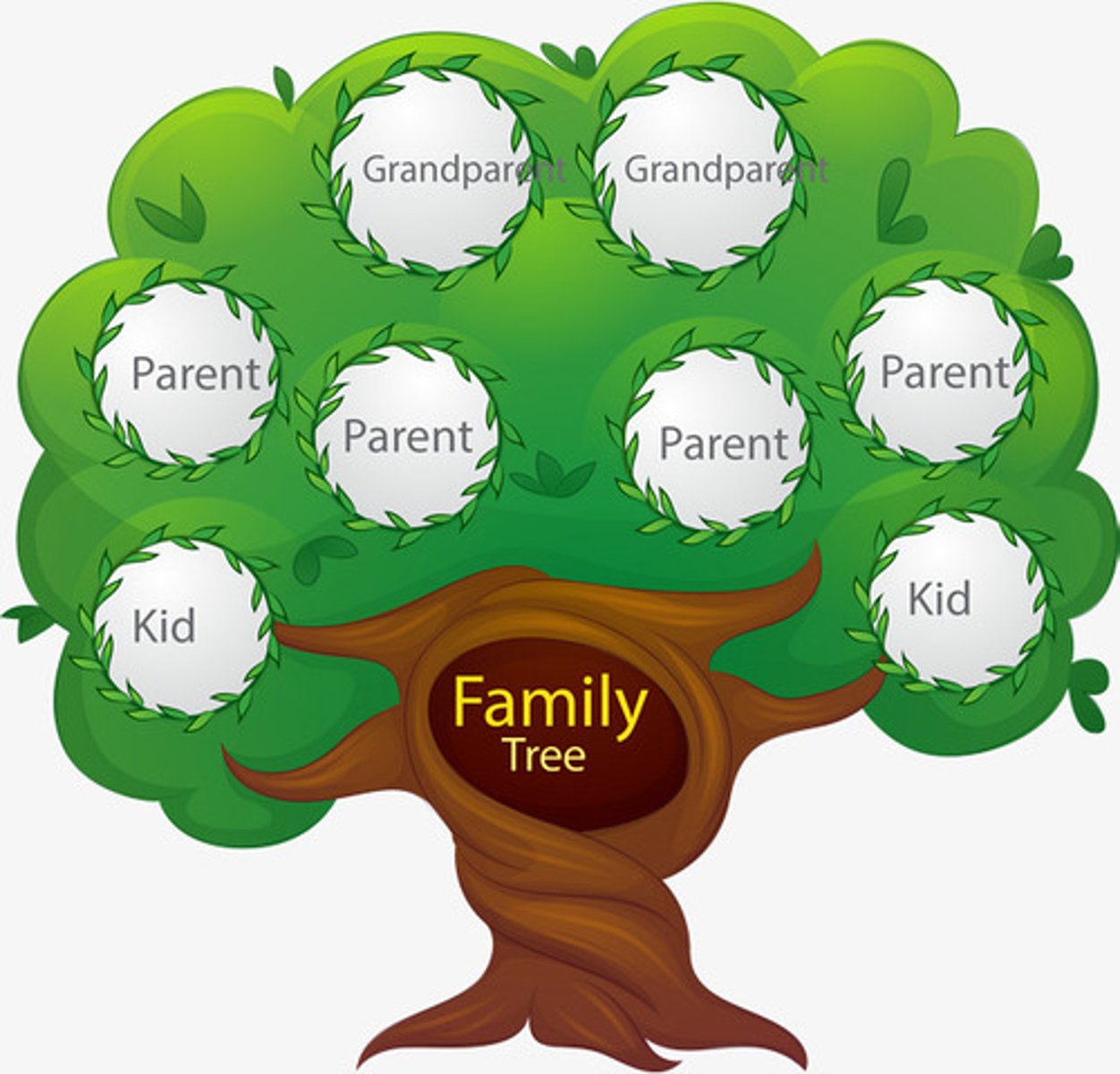 <p>The tree</p>