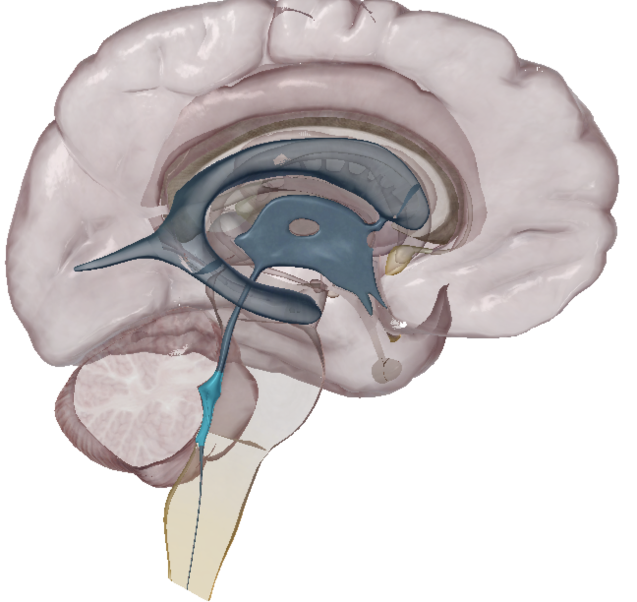 <p>what is highlighted </p>