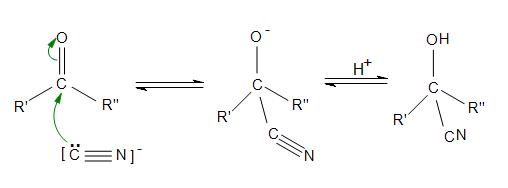 <p>cyanohydrins </p>