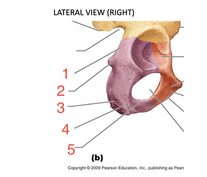 <p>1? </p>